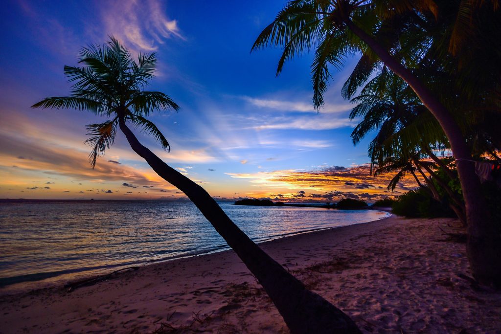 beach-calm-clouds-coconut-trees